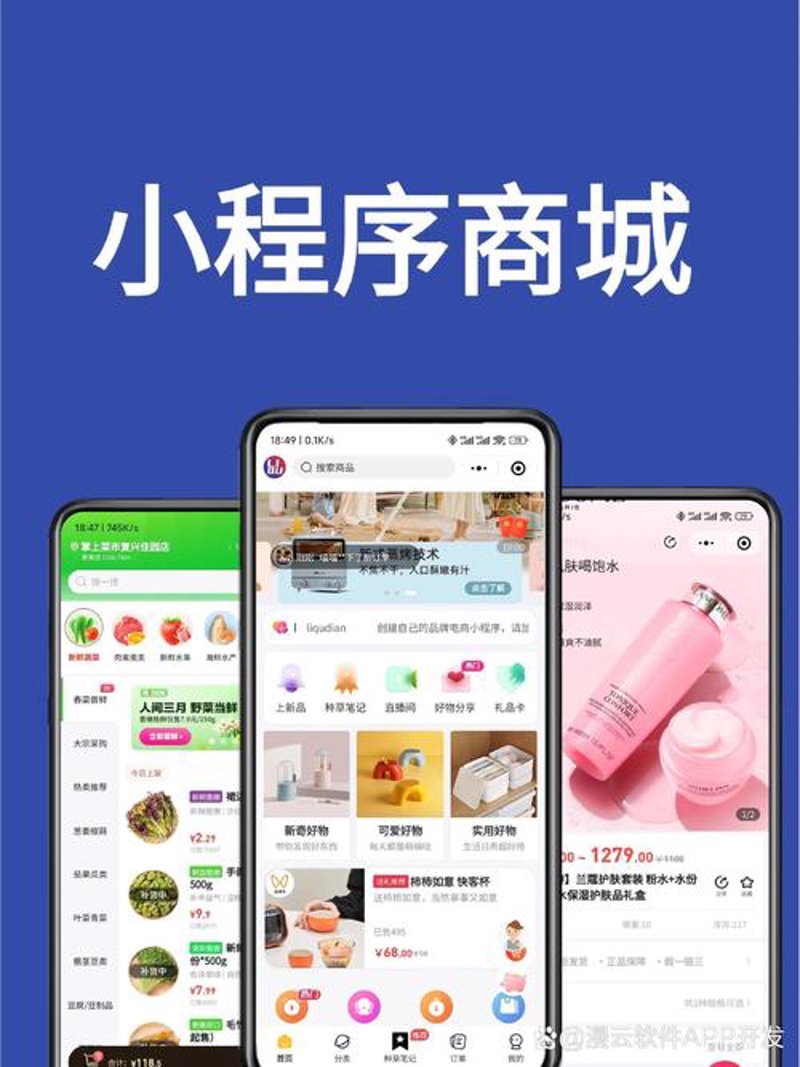 科技之光：上海网络科技公司的快速发展